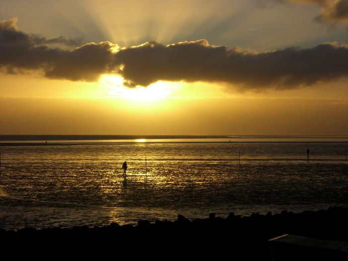 Wattenmeer